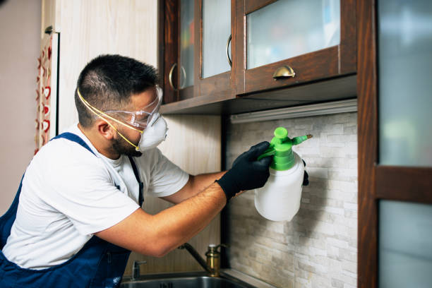 Best Commercial Pest Control Services  in Kuna, ID
