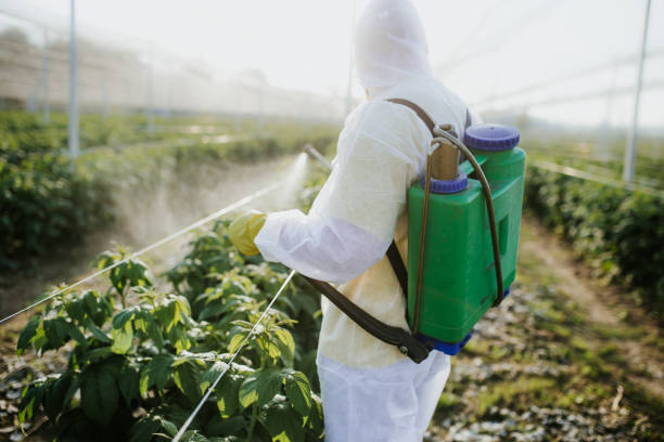 Best Pest Control Near Me in Kuna, ID